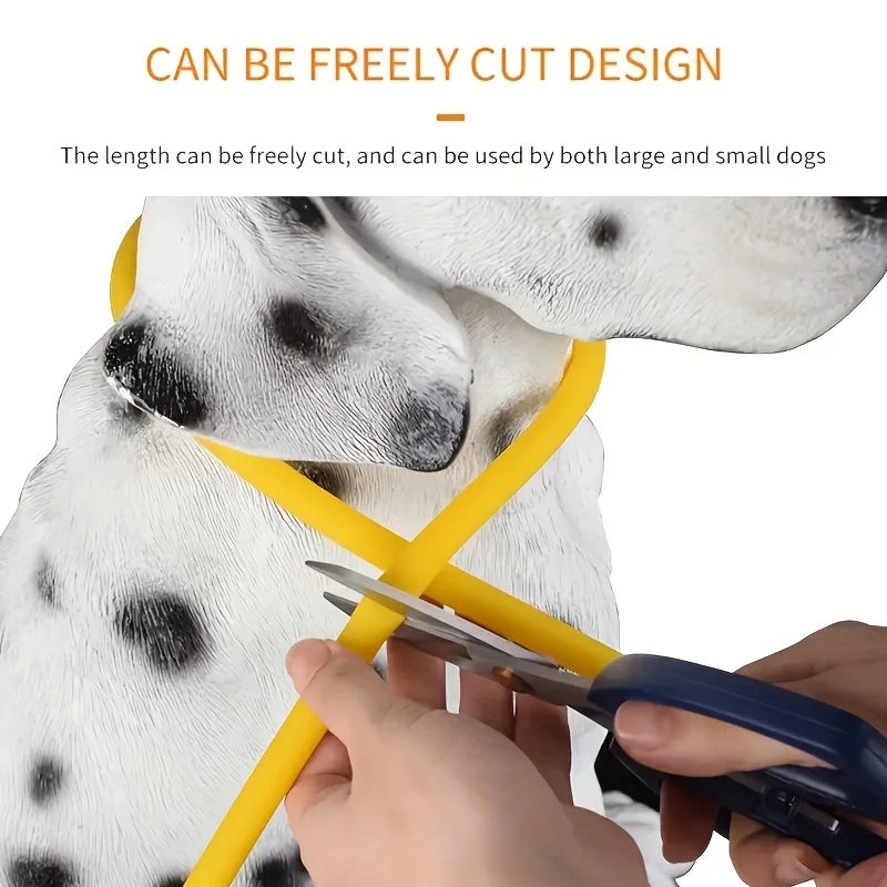 Collier lumineux LED pour chien de compagnie, Anti-perte, Rechargeable par USB