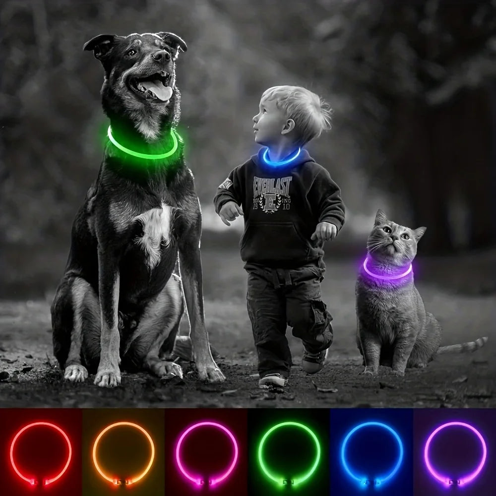 Collier lumineux LED pour chien de compagnie, Anti-perte, Rechargeable par USB