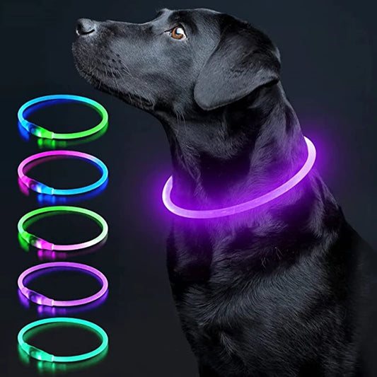 Collier de chien lumineux Led, collier de chargement USB, clignotant, bricolage, sécurité lumineuse, Anti-perte, collier pour chiens et chats, accessoires et fournitures