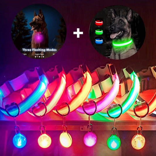 Collier de chien lumineux avec chargeur Usb, avec pendentif, lumière Led de luxe détachable, lumineux pour petits chiens et chats, collier de sécurité de nuit, vente en gros