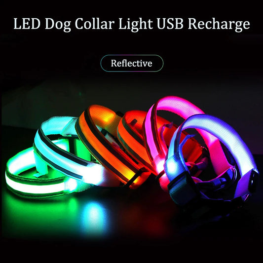 Collier de chien réfléchissant lumineux nuit sécurité USB Rechargeable LED collier de chien lumière pour petits chiens chat collier pour animaux de compagnie Para Perro XS-XL