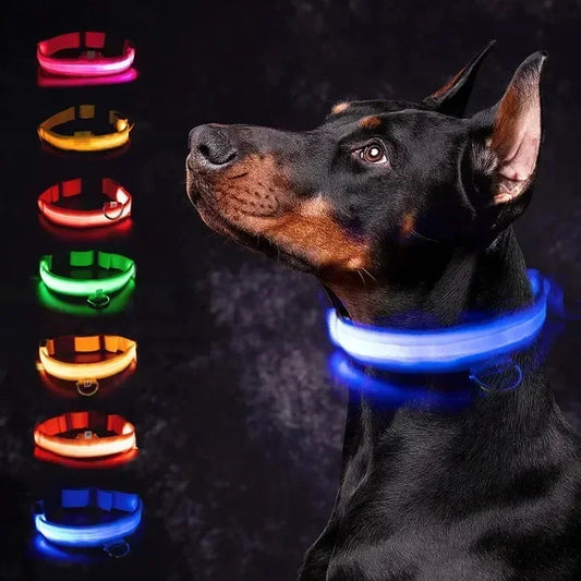 Collier de chien lumineux LED réglable clignotant Rechargea collier lumineux nuit Anti-perte harnais de lumière pour chien pour petits chiens produits pour animaux de compagnie