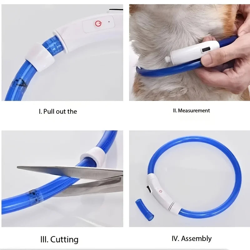 Collier lumineux LED pour chien de compagnie, Anti-perte, Rechargeable par USB