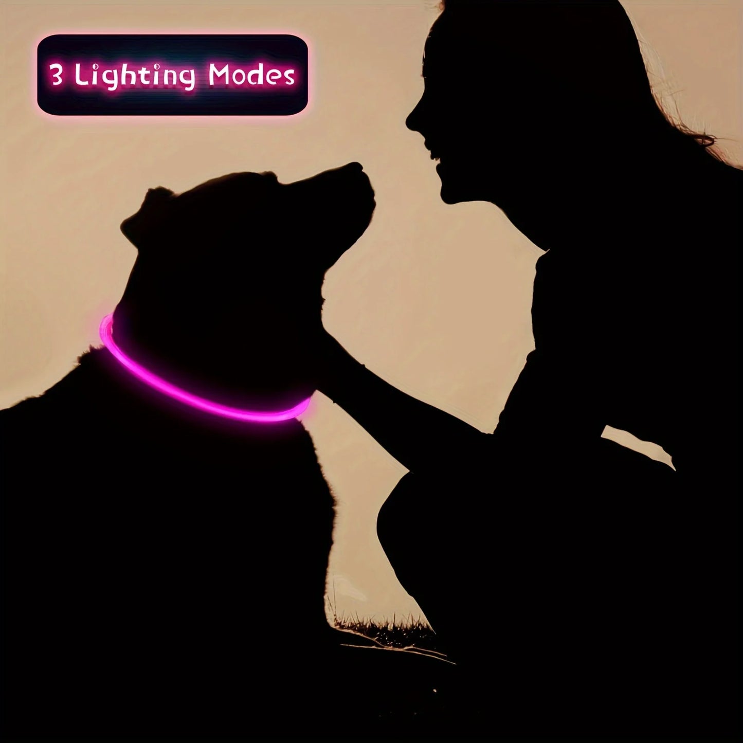 Collier lumineux LED pour chien de compagnie, Anti-perte, Rechargeable par USB