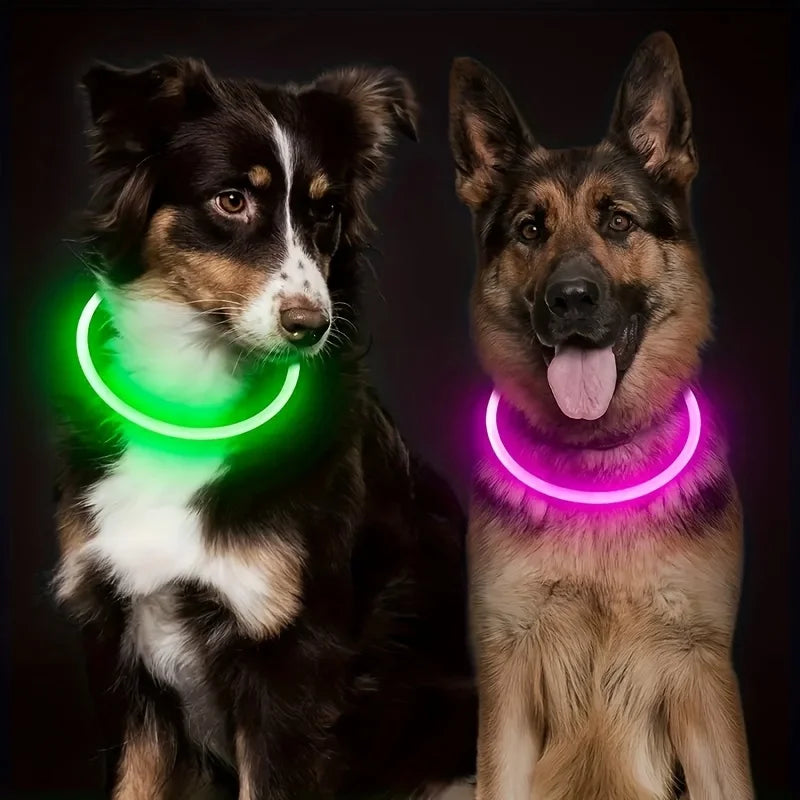 Collier lumineux LED pour chien de compagnie, Anti-perte, Rechargeable par USB
