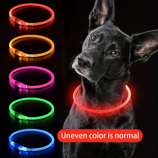 Collier lumineux LED pour chien de compagnie, Anti-perte, Rechargeable par USB