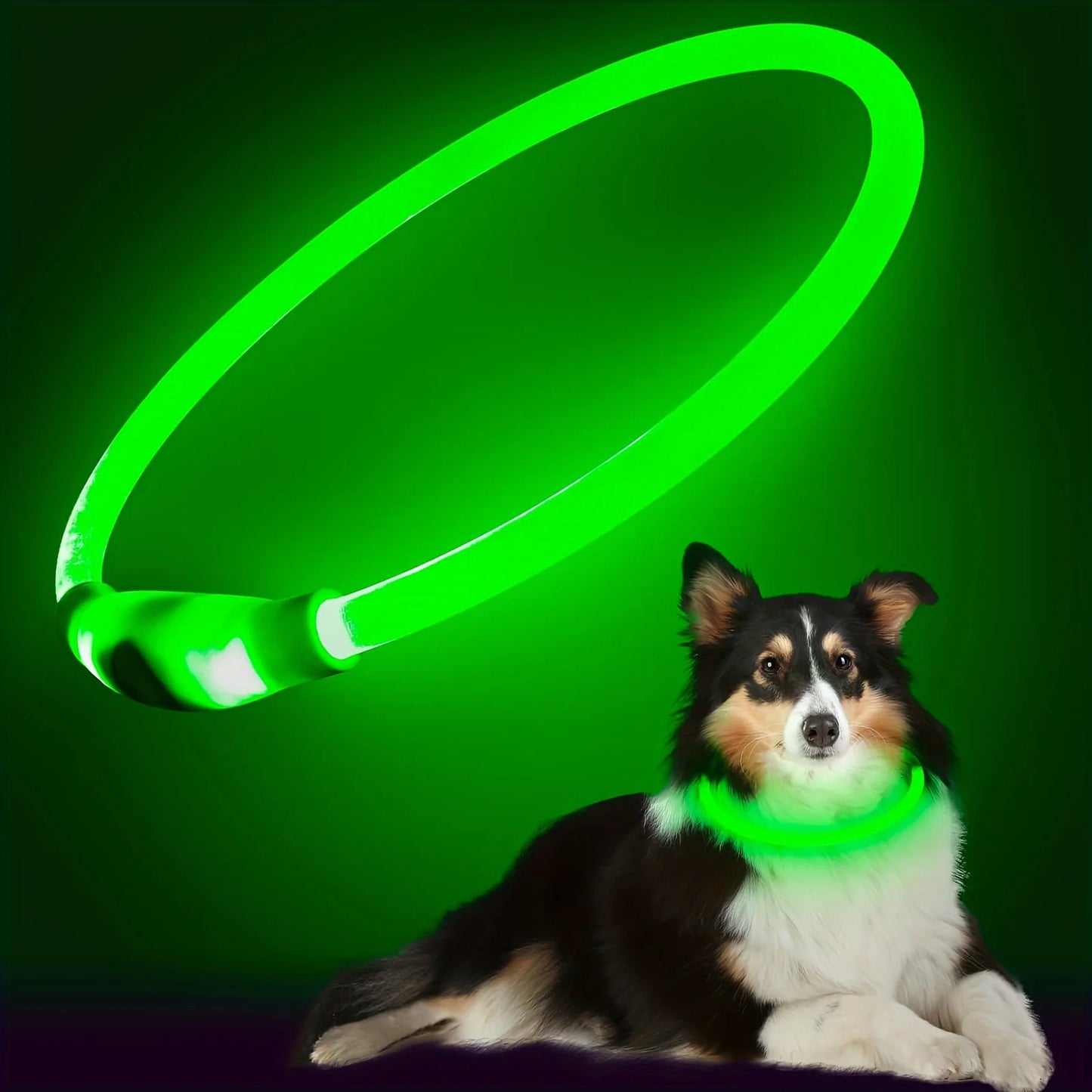 Collier lumineux LED pour chien de compagnie, Anti-perte, Rechargeable par USB