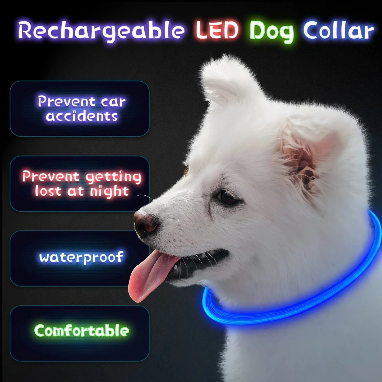 Collier lumineux LED pour chien de compagnie, Anti-perte, Rechargeable par USB