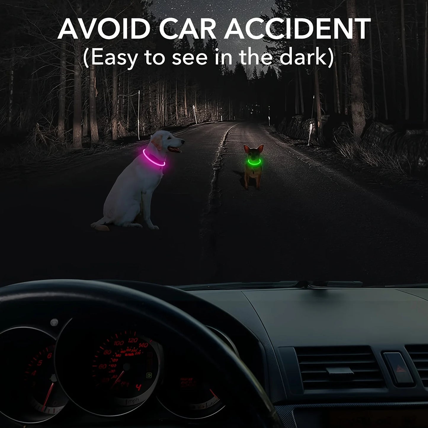 Collier lumineux LED pour chien de compagnie, Anti-perte, Rechargeable par USB