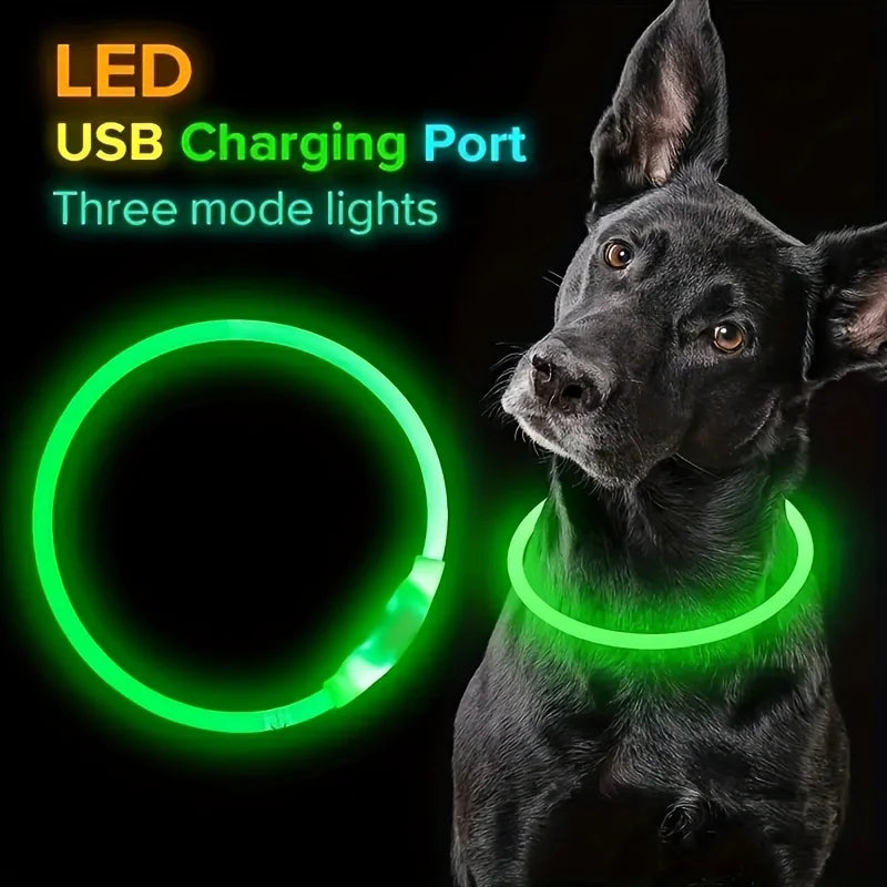 Collier lumineux LED pour chien de compagnie, Anti-perte, Rechargeable par USB