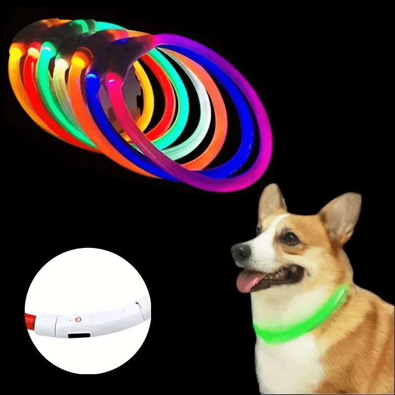 Collier lumineux LED pour chien de compagnie, Anti-perte, Rechargeable par USB