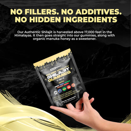 Voici la traduction en français :Gommes de Shilajit Hercules
