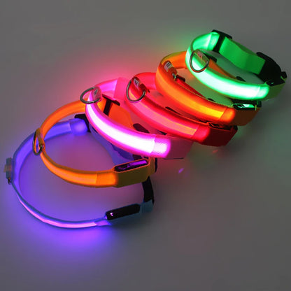 Collier de chien lumineux Led, collier de chargement USB, clignotant, bricolage, sécurité lumineuse, Anti-perte, collier pour chiens et chats, accessoires et fournitures