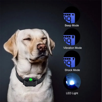Collier de dressage électrique pour chien, étanche, Rechargeable, télécommande pour animaux de compagnie, avec écran LCD, pour toutes les tailles, colliers anti-aboiement, 40% de réduction