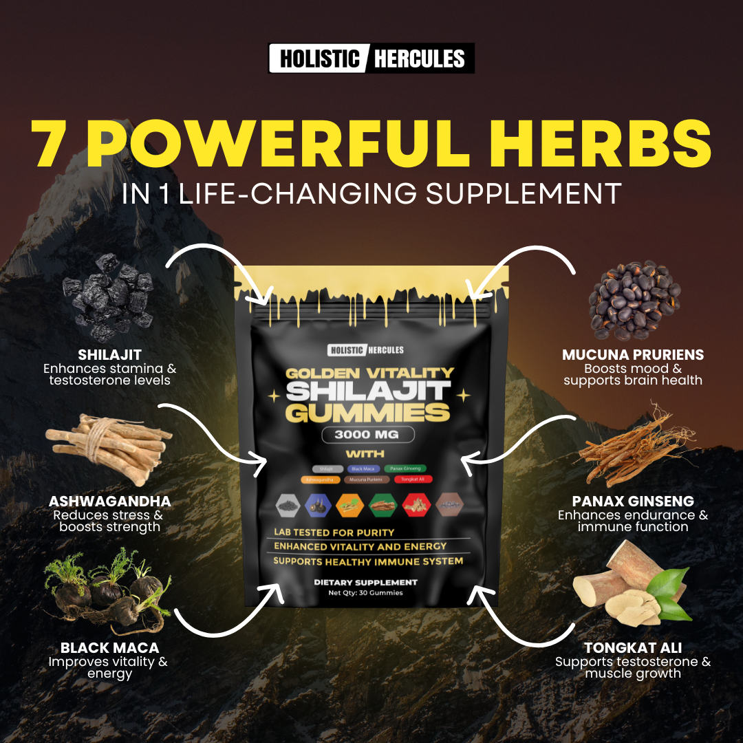 Voici la traduction en français :Gommes de Shilajit Hercules