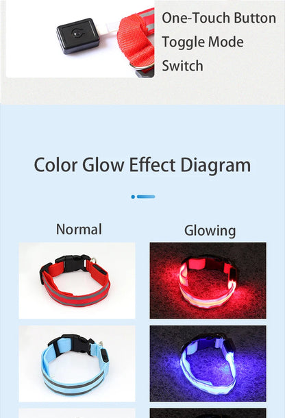 Collier de chien réfléchissant lumineux nuit sécurité USB Rechargeable LED collier de chien lumière pour petits chiens chat collier pour animaux de compagnie Para Perro XS-XL