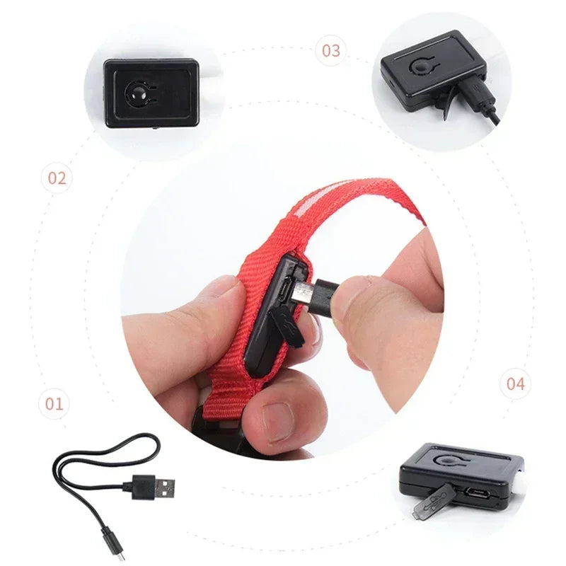 Collier de chien lumineux LED réglable clignotant Rechargea collier lumineux nuit Anti-perte harnais de lumière pour chien pour petits chiens produits pour animaux de compagnie