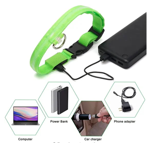 Collier de chien lumineux avec chargeur Usb, avec pendentif, lumière Led de luxe détachable, lumineux pour petits chiens et chats, collier de sécurité de nuit, vente en gros