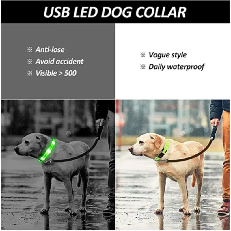 Collier de chien lumineux LED réglable clignotant Rechargea collier lumineux nuit Anti-perte harnais de lumière pour chien pour petits chiens produits pour animaux de compagnie
