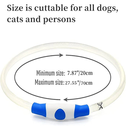 Collier de chien lumineux Led, collier de chargement USB, clignotant, bricolage, sécurité lumineuse, Anti-perte, collier pour chiens et chats, accessoires et fournitures