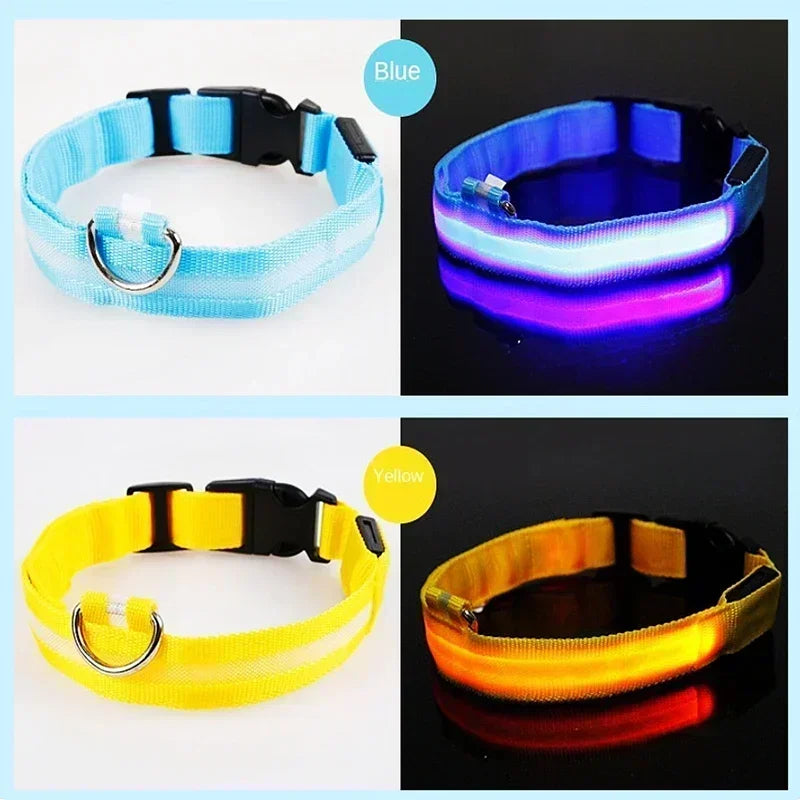 Collier de chien lumineux LED réglable clignotant Rechargea collier lumineux nuit Anti-perte harnais de lumière pour chien pour petits chiens produits pour animaux de compagnie