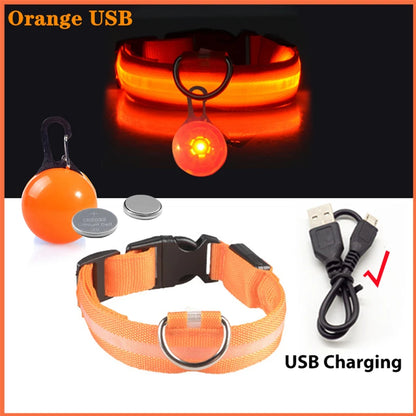 Collier de chien lumineux avec chargeur Usb, avec pendentif, lumière Led de luxe détachable, lumineux pour petits chiens et chats, collier de sécurité de nuit, vente en gros