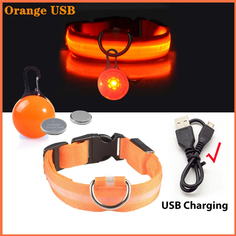 Collier de chien lumineux avec chargeur Usb, avec pendentif, lumière Led de luxe détachable, lumineux pour petits chiens et chats, collier de sécurité de nuit, vente en gros