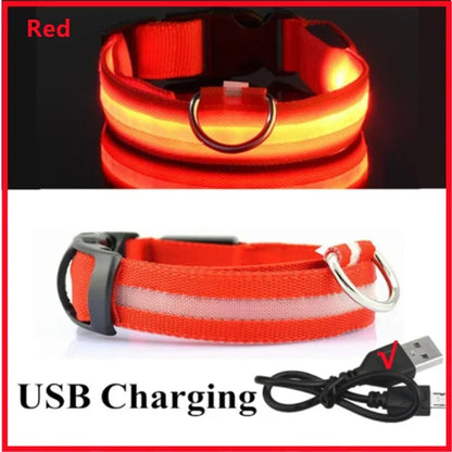 Collier de chien lumineux LED réglable clignotant Rechargea collier lumineux nuit Anti-perte harnais de lumière pour chien pour petits chiens produits pour animaux de compagnie