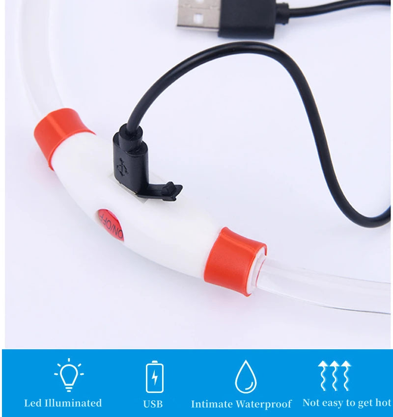 Collier de chien lumineux Led, collier de chargement USB, clignotant, bricolage, sécurité lumineuse, Anti-perte, collier pour chiens et chats, accessoires et fournitures