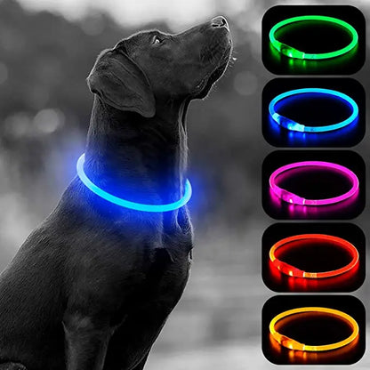 Collier de chien lumineux Led, collier de chargement USB, clignotant, bricolage, sécurité lumineuse, Anti-perte, collier pour chiens et chats, accessoires et fournitures