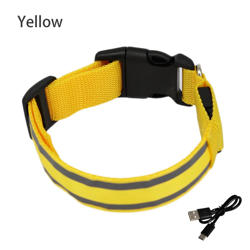Collier de chien réfléchissant lumineux nuit sécurité USB Rechargeable LED collier de chien lumière pour petits chiens chat collier pour animaux de compagnie Para Perro XS-XL