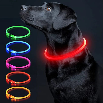 Collier de chien lumineux Led, collier de chargement USB, clignotant, bricolage, sécurité lumineuse, Anti-perte, collier pour chiens et chats, accessoires et fournitures