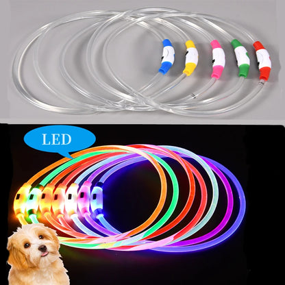 Collier de chien lumineux Led, collier de chargement USB, clignotant, bricolage, sécurité lumineuse, Anti-perte, collier pour chiens et chats, accessoires et fournitures