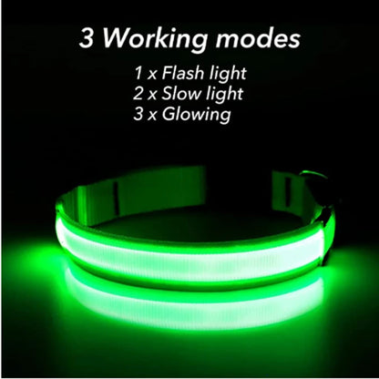 Collier de chien lumineux avec chargeur Usb, avec pendentif, lumière Led de luxe détachable, lumineux pour petits chiens et chats, collier de sécurité de nuit, vente en gros