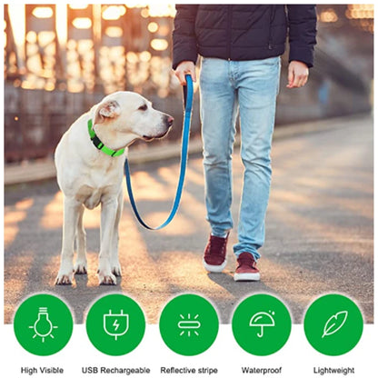 Collier de chien lumineux avec chargeur Usb, avec pendentif, lumière Led de luxe détachable, lumineux pour petits chiens et chats, collier de sécurité de nuit, vente en gros