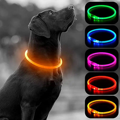 Collier de chien lumineux Led, collier de chargement USB, clignotant, bricolage, sécurité lumineuse, Anti-perte, collier pour chiens et chats, accessoires et fournitures