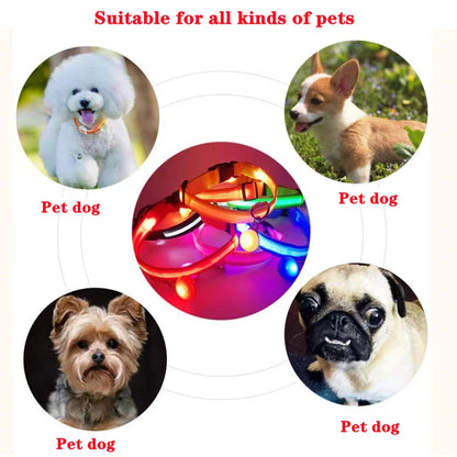 Collier de chien lumineux avec chargeur Usb, avec pendentif, lumière Led de luxe détachable, lumineux pour petits chiens et chats, collier de sécurité de nuit, vente en gros