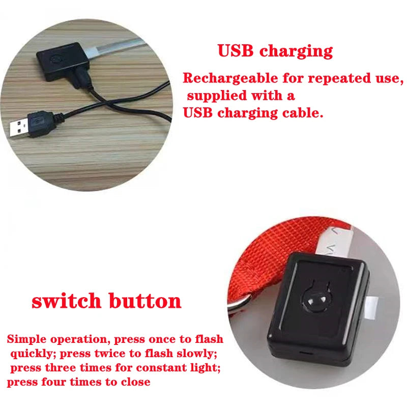 Collier de chien lumineux avec chargeur Usb, avec pendentif, lumière Led de luxe détachable, lumineux pour petits chiens et chats, collier de sécurité de nuit, vente en gros