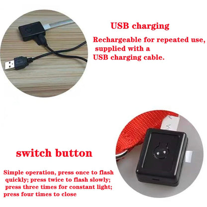 Collier de chien lumineux avec chargeur Usb, avec pendentif, lumière Led de luxe détachable, lumineux pour petits chiens et chats, collier de sécurité de nuit, vente en gros