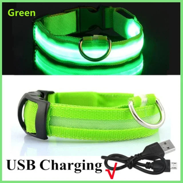 Collier de chien lumineux LED réglable clignotant Rechargea collier lumineux nuit Anti-perte harnais de lumière pour chien pour petits chiens produits pour animaux de compagnie