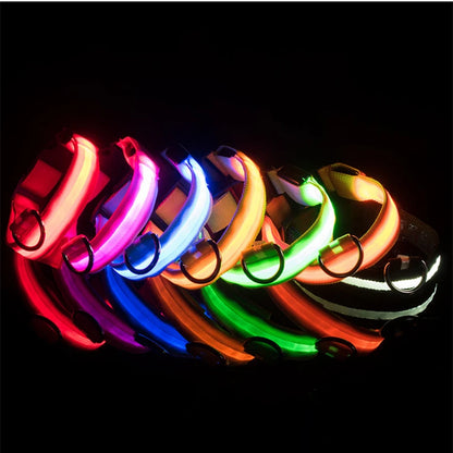 Collier de chien lumineux avec chargeur Usb, avec pendentif, lumière Led de luxe détachable, lumineux pour petits chiens et chats, collier de sécurité de nuit, vente en gros