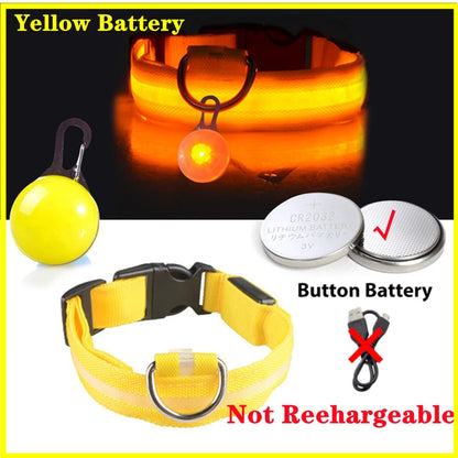 Collier de chien lumineux avec chargeur Usb, avec pendentif, lumière Led de luxe détachable, lumineux pour petits chiens et chats, collier de sécurité de nuit, vente en gros