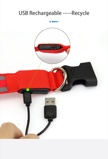 Collier de chien réfléchissant lumineux nuit sécurité USB Rechargeable LED collier de chien lumière pour petits chiens chat collier pour animaux de compagnie Para Perro XS-XL