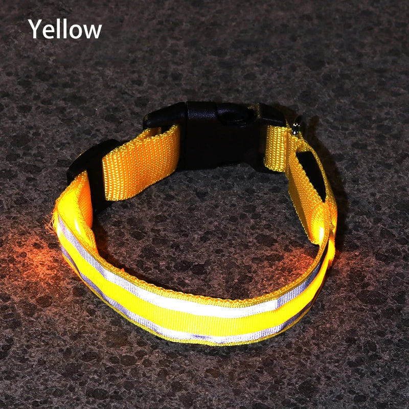 Collier de chien réfléchissant lumineux nuit sécurité USB Rechargeable LED collier de chien lumière pour petits chiens chat collier pour animaux de compagnie Para Perro XS-XL