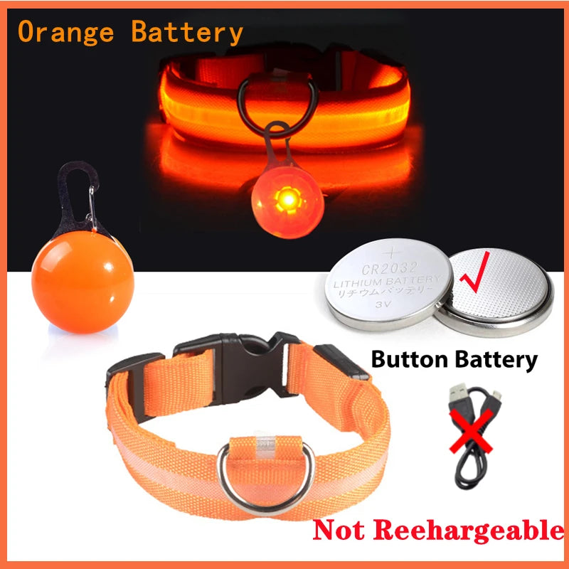 Collier de chien lumineux avec chargeur Usb, avec pendentif, lumière Led de luxe détachable, lumineux pour petits chiens et chats, collier de sécurité de nuit, vente en gros