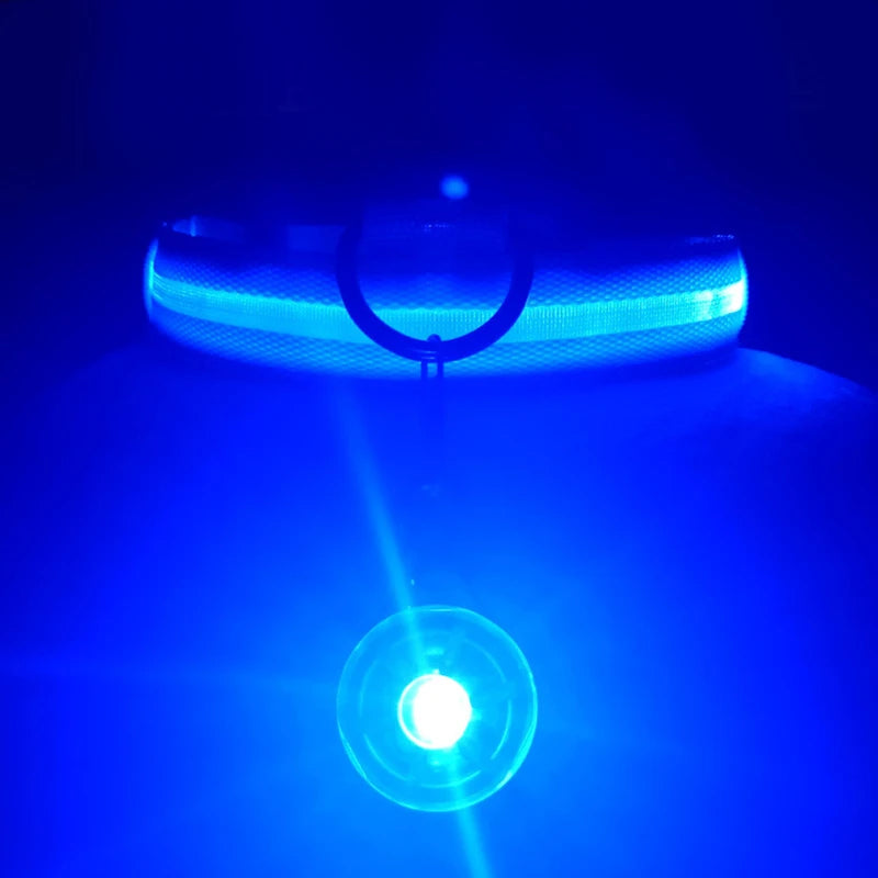 Collier de chien lumineux avec chargeur Usb, avec pendentif, lumière Led de luxe détachable, lumineux pour petits chiens et chats, collier de sécurité de nuit, vente en gros