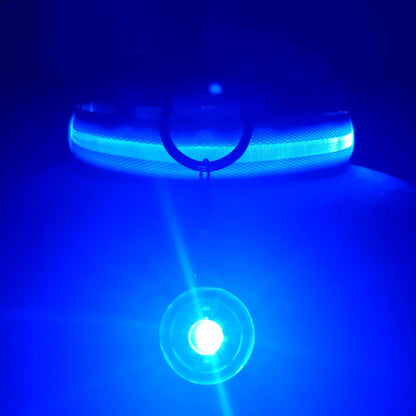 Collier de chien lumineux avec chargeur Usb, avec pendentif, lumière Led de luxe détachable, lumineux pour petits chiens et chats, collier de sécurité de nuit, vente en gros