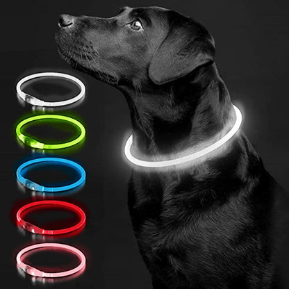 Collier de chien lumineux Led, collier de chargement USB, clignotant, bricolage, sécurité lumineuse, Anti-perte, collier pour chiens et chats, accessoires et fournitures