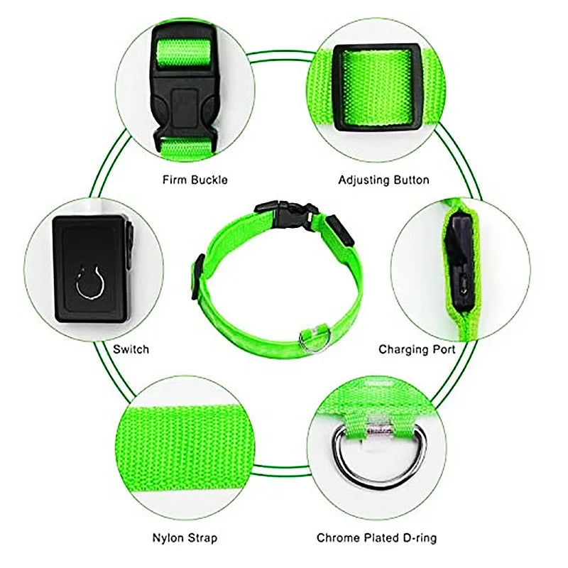 Collier de chien lumineux avec chargeur Usb, avec pendentif, lumière Led de luxe détachable, lumineux pour petits chiens et chats, collier de sécurité de nuit, vente en gros