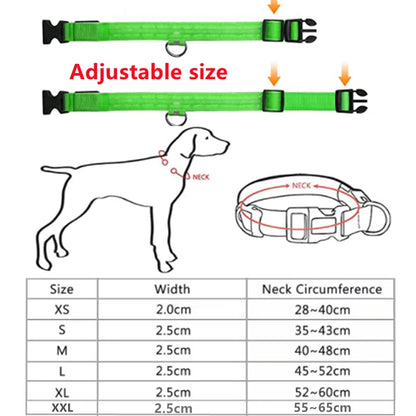 Collier de chien lumineux avec chargeur Usb, avec pendentif, lumière Led de luxe détachable, lumineux pour petits chiens et chats, collier de sécurité de nuit, vente en gros